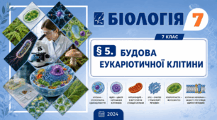 Будова еукаріотичної клітини. Презентація, інфографіка, робочий аркуш