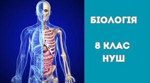 § 2. Які  науки вивчають  людину. Яке значення знань про людину для збереження її здоров’я