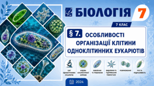 Особливості організації клітини одноклітинних еукаріотів. Презентація, інфографіка, робочий аркуш