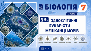 Одноклітинні еукаріоти — мешканці морів. Презентація, інфографіка, робочий аркуш