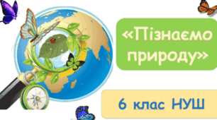 Презентація до уроку 6 клас з теми: Як стати дослідником. Екскурсія до хімічної чи біологічної лабораторії, музею науки, природничого музею.(віртуальна)