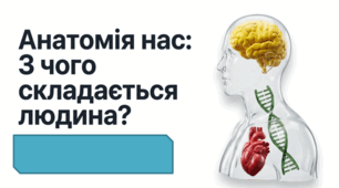 01. Науки, що вивчають організм людини