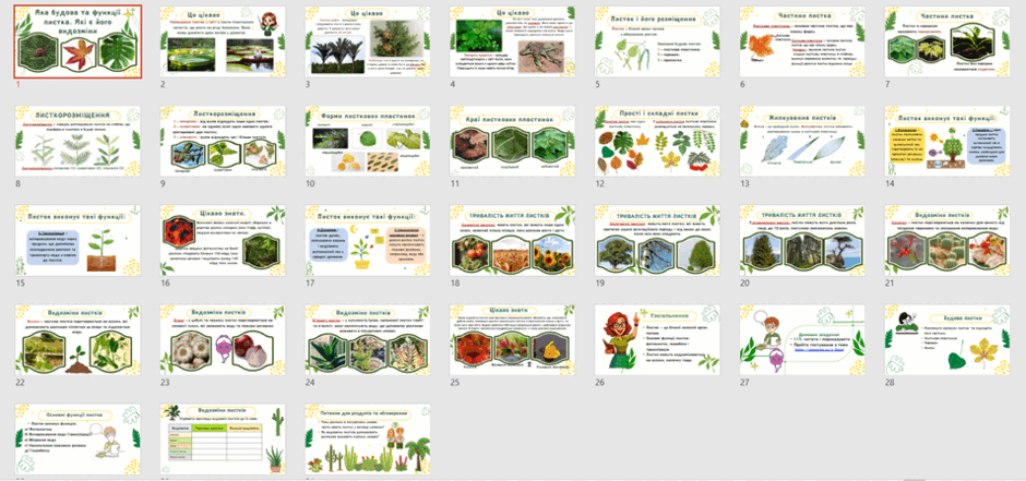 11002b6t-125c-940x441.png