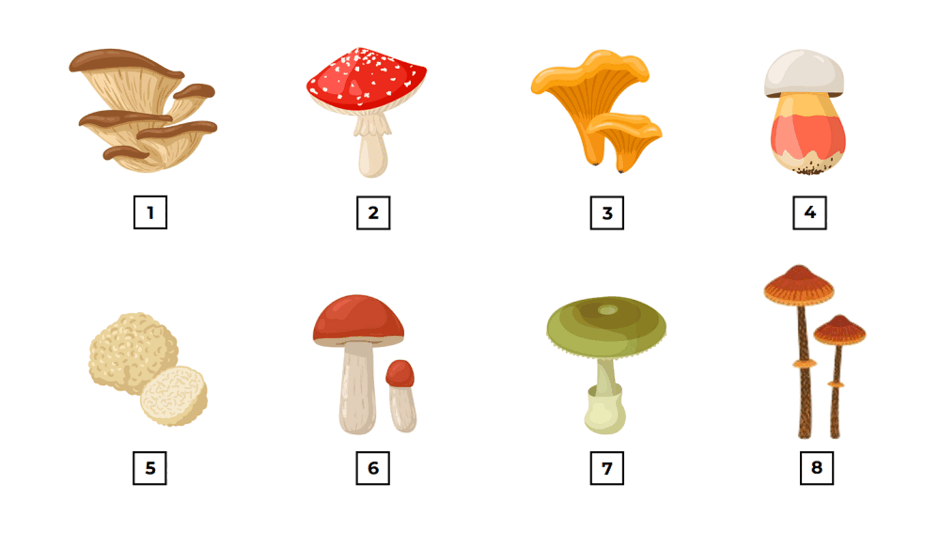 11002dp3-8f9a-940x548.png