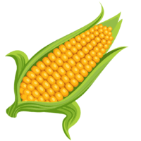 11002dzp-057a-200x200.png
