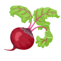 11002dzq-307f-200x200.png