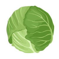 11002dzx-92fa-200x200.png