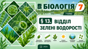 Відділ Зелені водорості. Презентація, інфографіка, робочий аркуш