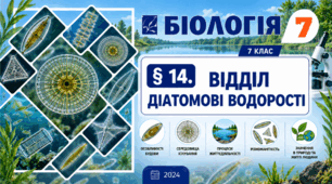 Відділ Діатомові водорості. Презентація, інфографіка, робочий аркуш