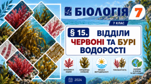 Відділи Червоні та Бурі водорості. Презентація, інфографіка, робочий аркуш