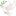🕊️