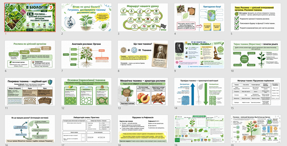11002f1c-6d1b-935x478.png