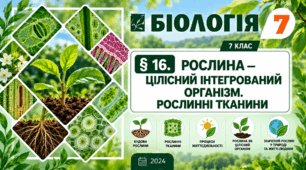 Рослина — цілісний інтегрований організм. Рослинні тканини. Презентація, інфографіка, робочий аркуш