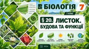 Листок. Будова та функції. Презентація, інфографіка, робочий аркуш