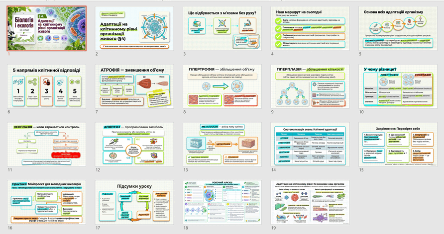 11002hwk-e50a-892x471.png