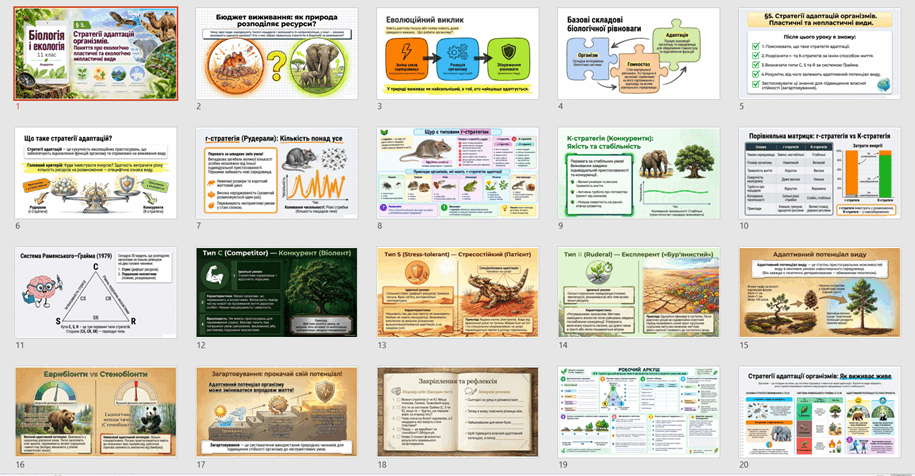 11002i0j-b1dd-915x476.png