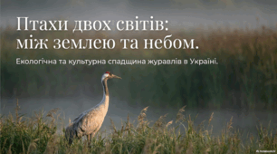 13 вересня - Міжнародний день журавля