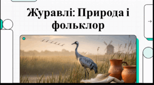 Відеоогляд "13 вересня - Міжнародний день журавля"