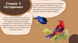 Проєкт «Птахи- наші друзі»