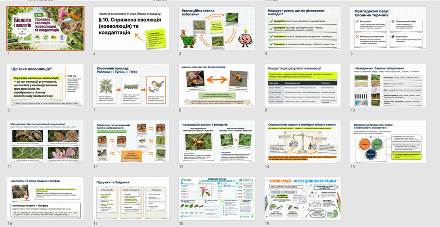 11002jgv-6575-906x468.png