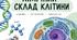 Робочі аркуші з біології для 9 класу НУШ «Хімічний склад клітини» (за підручником П. Балан) | Дидактичний матеріал