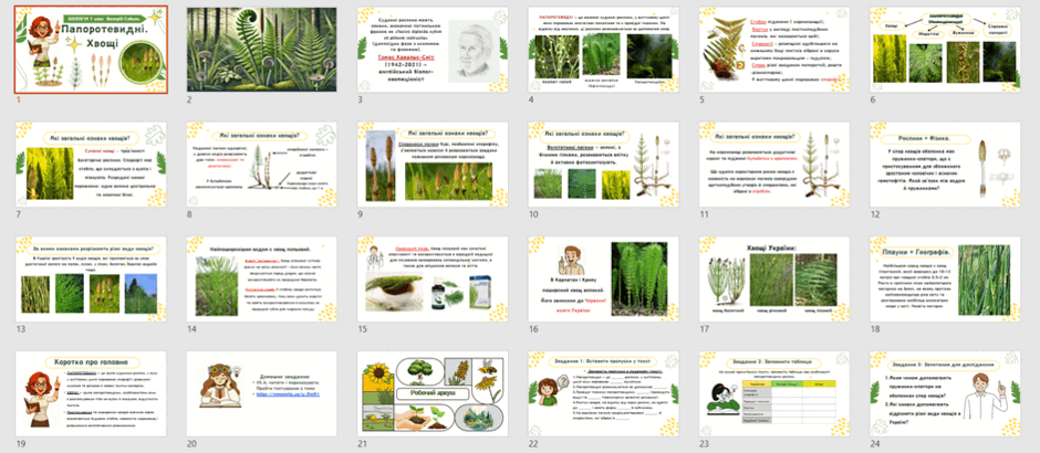 11002lob-3794-940x410.png