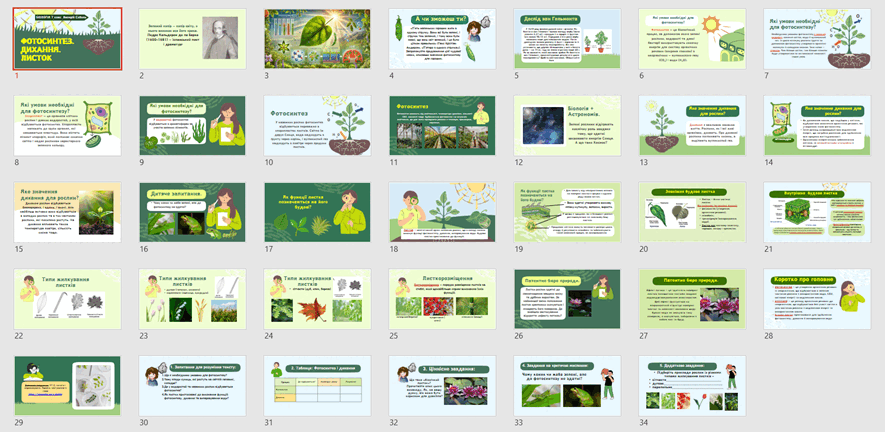 11002lsl-5008-885x432.png