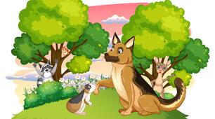 Find all the animals!