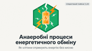 Презентація "Анаеробні процеси енергетичного обміну" 10 клас (проф)