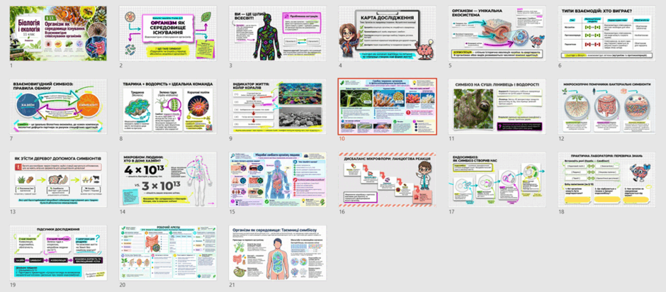 11002nzs-298f-940x412.png