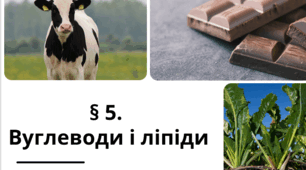 Презентація  до уроку  «§ 5.Вуглеводи і ліпіди»   9 клас НУШ Біологія