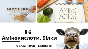 Презентація  до уроку  «§ 6.Амінокислоти. Білки»   9 кас  НУШ  Біологія