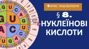 Презентація  до уроку  «§ 8. Нуклеїнові кислоти»   9 клас  НУШ Біологія