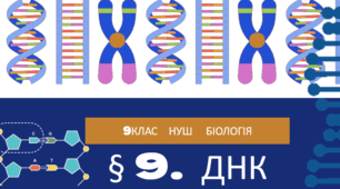 Презентація  до уроку  «§ 9. ДНК»   9 клас НУШ Біологія