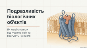 Презентація "Подразливість біологічних об’єктів" 11 клас (проф)