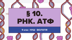 Презентація  до уроку  «§ 10.РНК. АТФ »  9 клас НУШ  Біологія