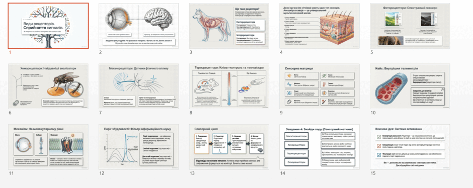 11002pvq-9aff-940x374.png