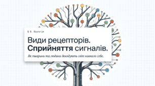Презентація "Види рецепторів. Сприйняття сигналів" 11 клас (проф)