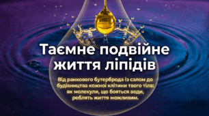 Презентація "Структура та біологічна роль ліпідів" 9 клас НУШ