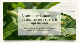04. Властивості адаптацій. Адаптивні стратегії організмів