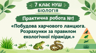 Практична робота №1 "Побудова харчового ланцюга. Розрахунки за правилом екологічної піраміди."  7 клас