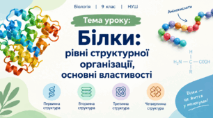 Білки рівні структурної організації, основні властивості