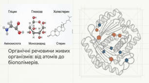 04. Органічні речовини живих організмів