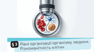 03. Рівні організації організму людини.  Різноманітність клітин