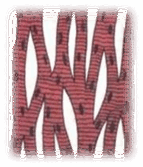 11002xfg-4c24-194x227.png