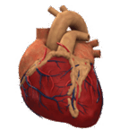 11002xfi-d938-271x272.png