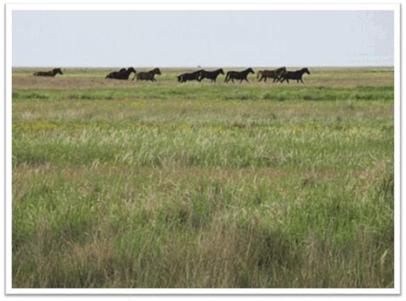 11002xua-fed3-584x434.png