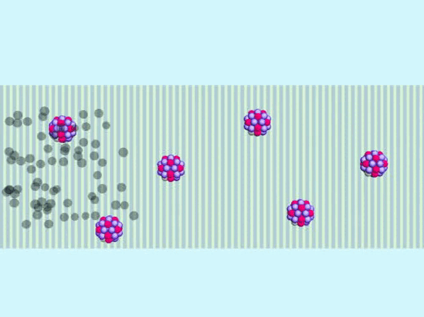 110036ll-b140-598x448.gif