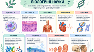 "Науки, що вивчають людину. Значення знань про організм людини для збереження здоров’я."