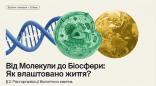 02.  Рівні організації біологічних систем та їхній взаємозв'язок